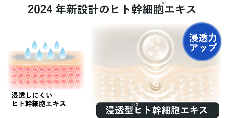 ヒト幹細胞美容液 C50（6ml×4本） | キレイカラダメソッド ショップ